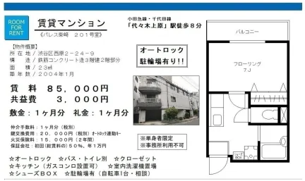 パレス柴﨑 201号 0