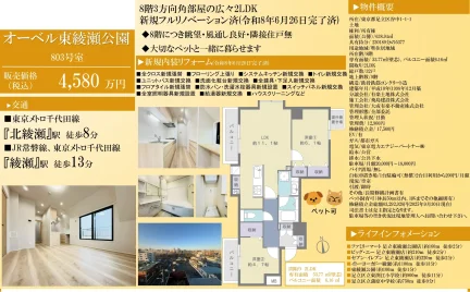 オーベル東綾瀬公園 803号 0
