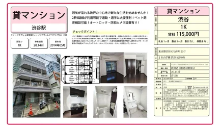 シャッツクヴェレ道玄版 202 0