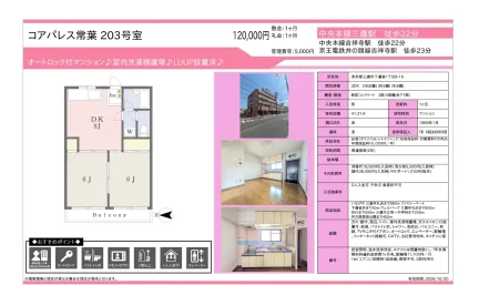 コアパレス常葉 203号 0