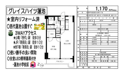 グレイスハイツ蓮池 0