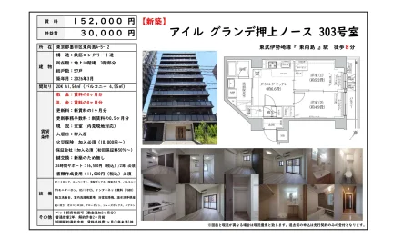 アイルグランデ押上ノース 303号 0