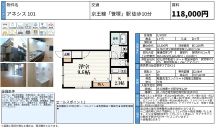 アネシス 101 0