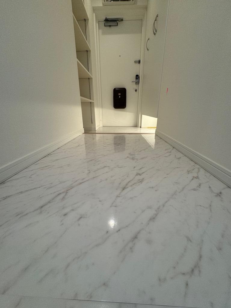 Classic 2-Bedroom Condo in Kameari 3