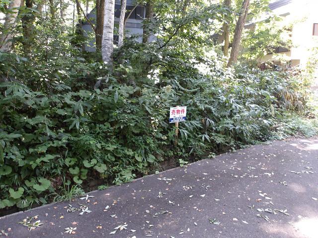 Land 2