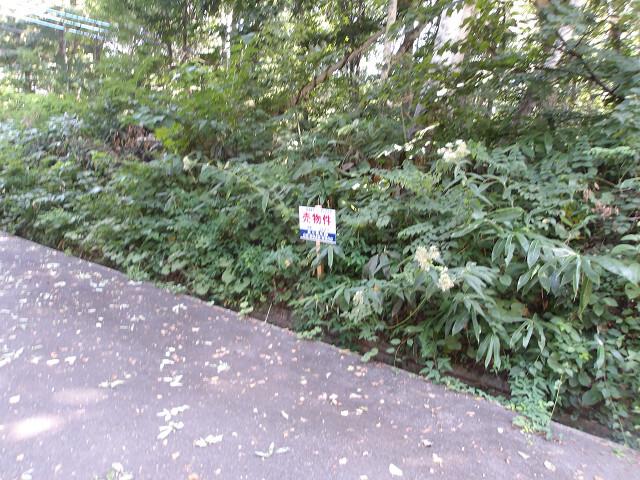 Land 1