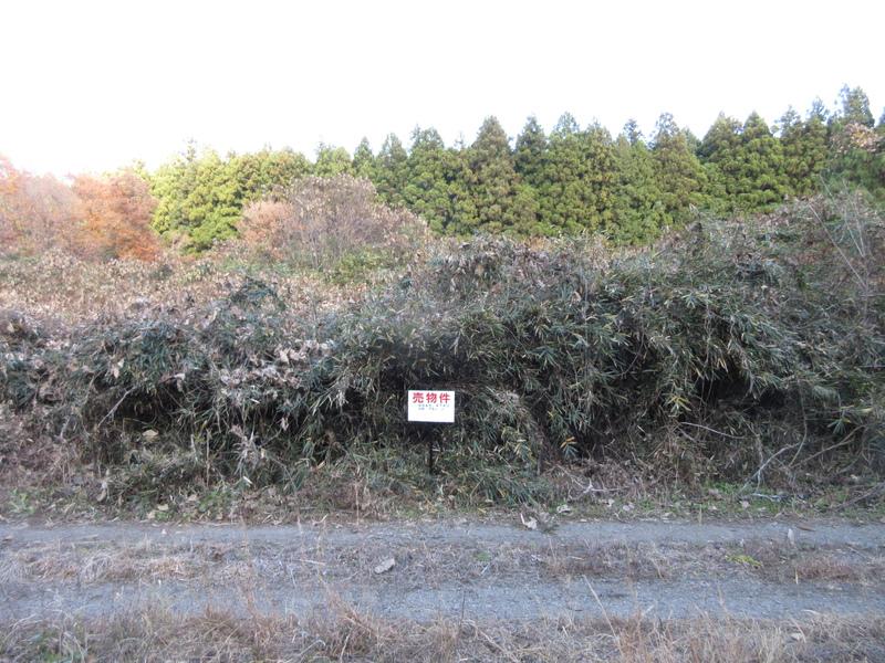 Land 0