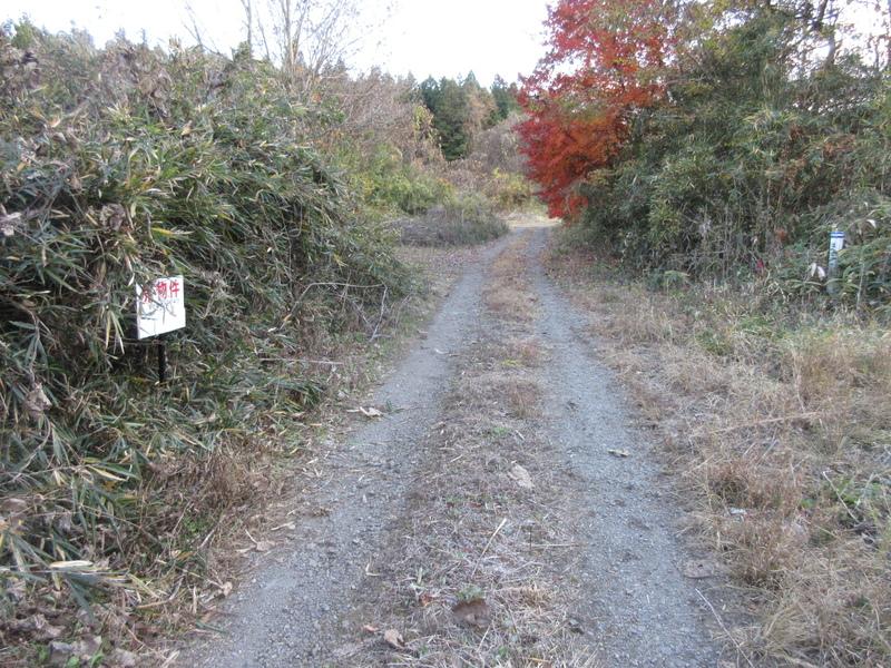 Land 2
