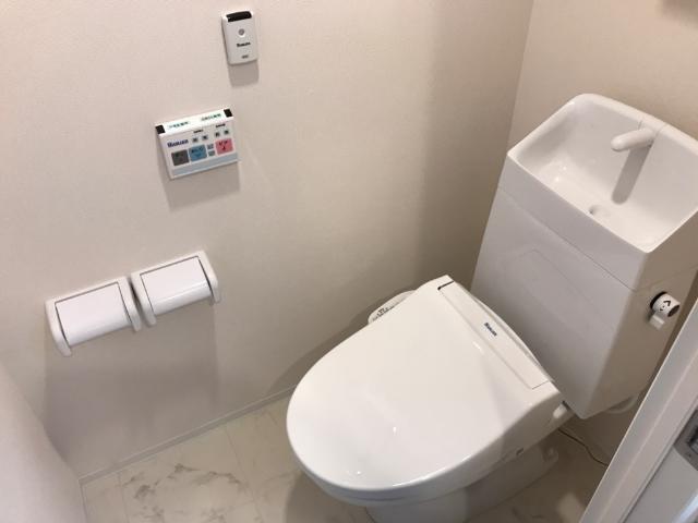 プリムローズ 7