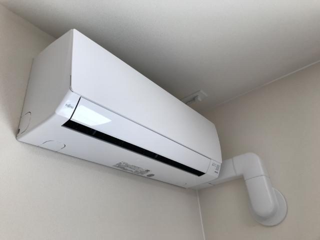 プリムローズ 10