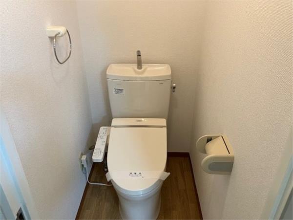 パインニードル 5