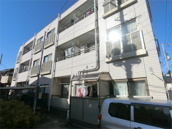 パインニードル 1