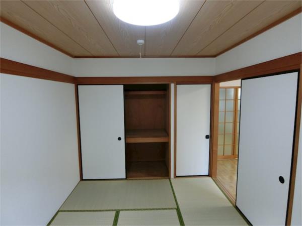 パインニードル 4