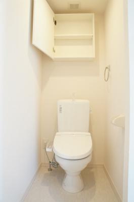 リブリ・ベレッツァ 6