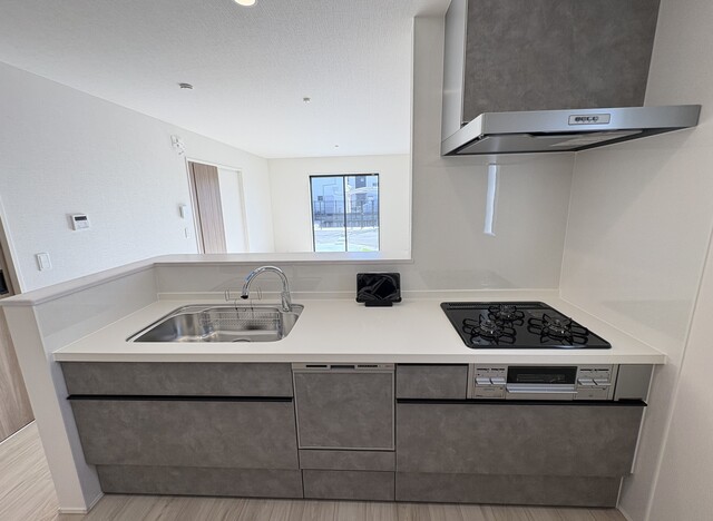 Brand New 4-Bedroom House in Furuichicho 2