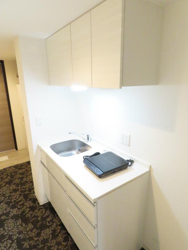 Modern Studio Condo Near Station in Shinkamata 5