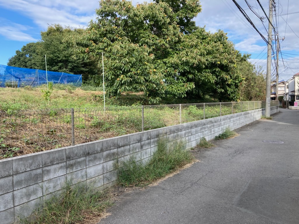 Land in Ontacho 4