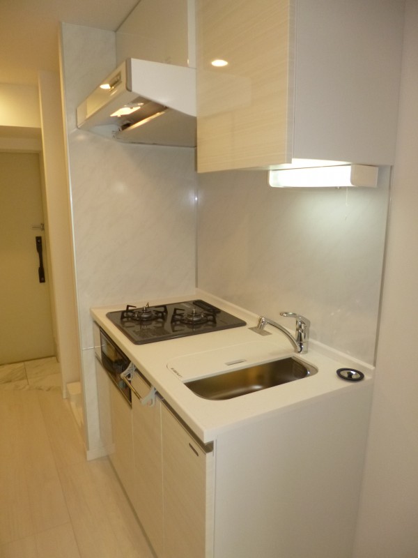 Modern Studio Condo Near Station in Sugamo 4