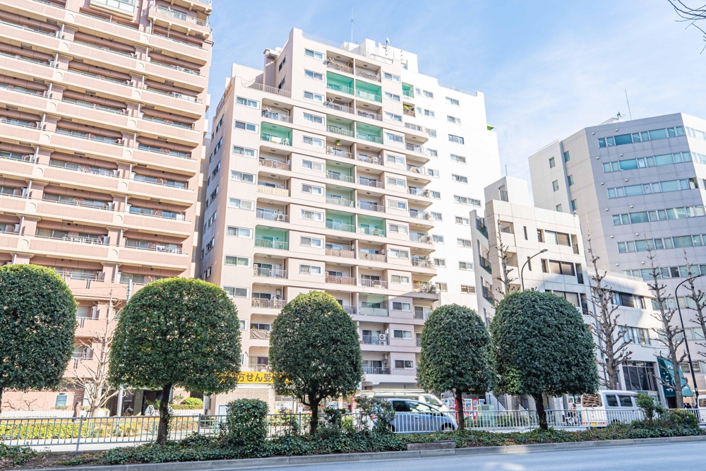 Vintage 3-Bedroom Condo Near Station in Nishikata 9
