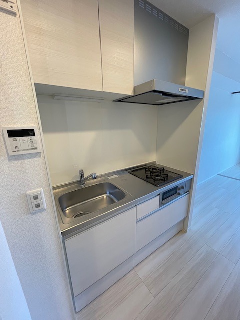 Brand New 1-Bedroom Condo Near Station in Gyotokuekimae 4