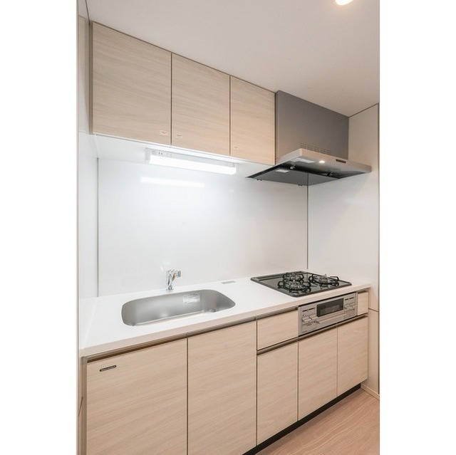 Brand New 2-Bedroom Condo Near Station in Shinkiba 5