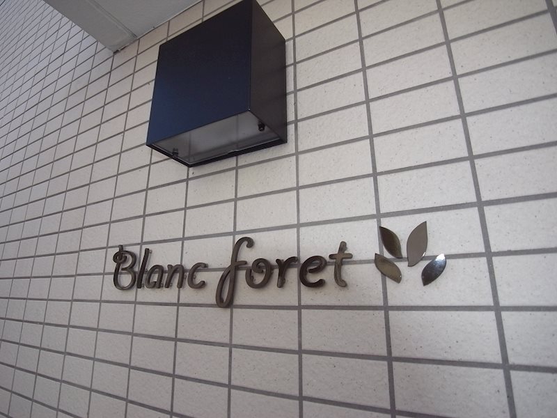 Ｂｌａｎｃ　ｆｏｒｅｔ 7