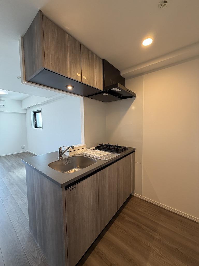Brand New 2-Bedroom Condo Near Station in Toyo 5