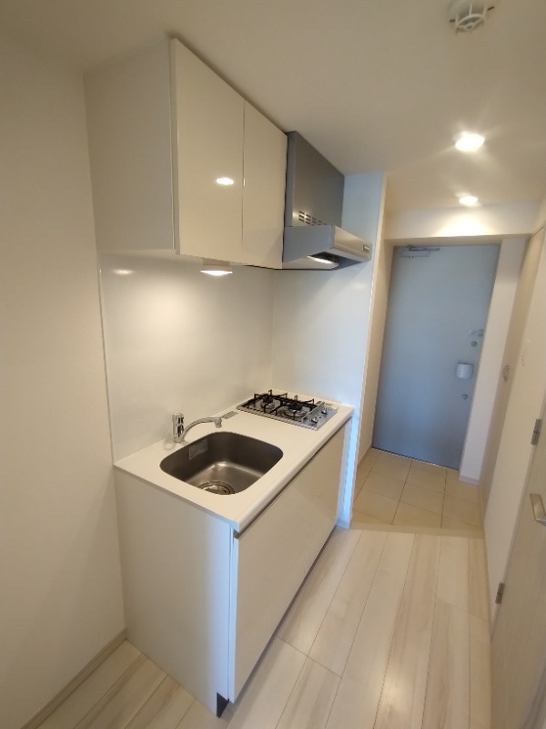 Modern Studio Condo Near Station in Kugayama 4