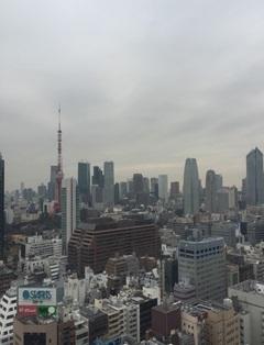 1-Bedroom Condo Near Station in Shibaura(2-4-chome) 4