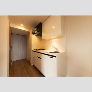 Modern 1-Bedroom Condo in Asakusabashi 4