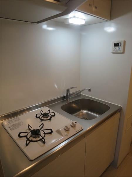 Modern Studio Condo Near Station in Kameido 3