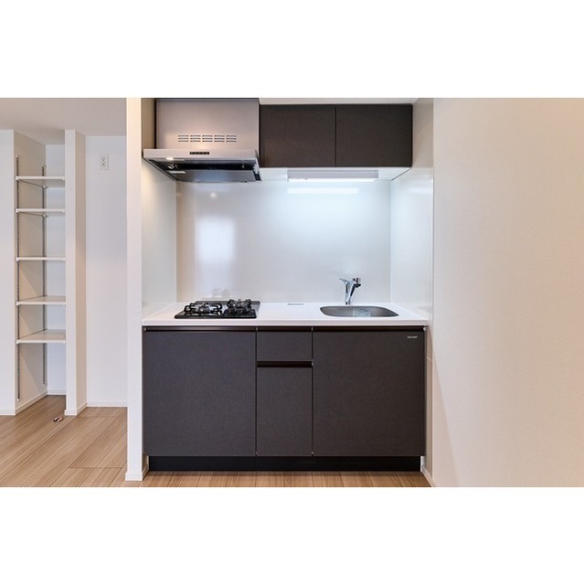 Brand New 1-Bedroom Condo in Ishiwara 6