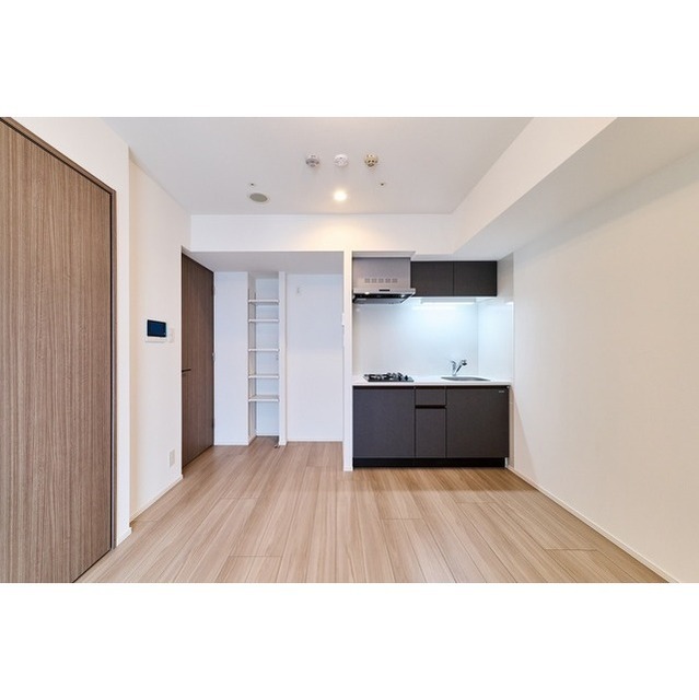 Brand New 1-Bedroom Condo in Ishiwara 5