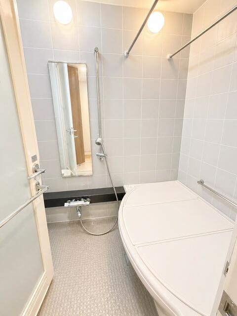 2-Bedroom Condo in Toyosu toyosusentabiru(chikai.kaiso 4