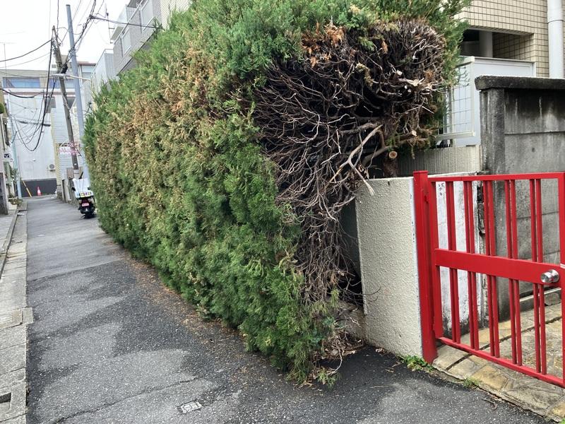 Thumbnail 8