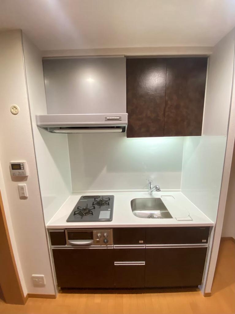 Modern 1-Bedroom Condo Near Station in Minamihorie 3